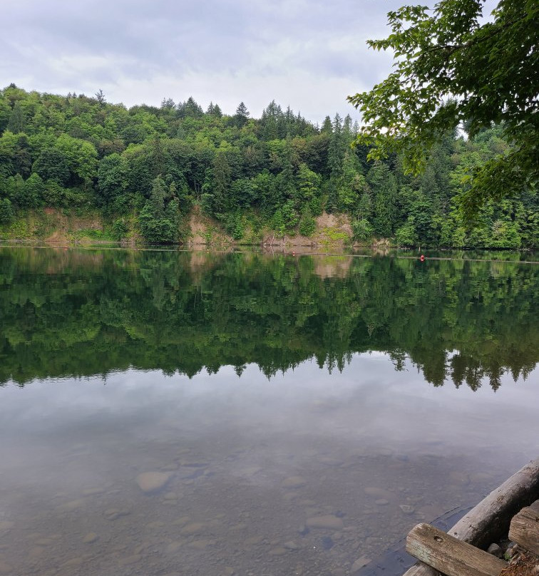 Ike Kinswa State Park景点图片