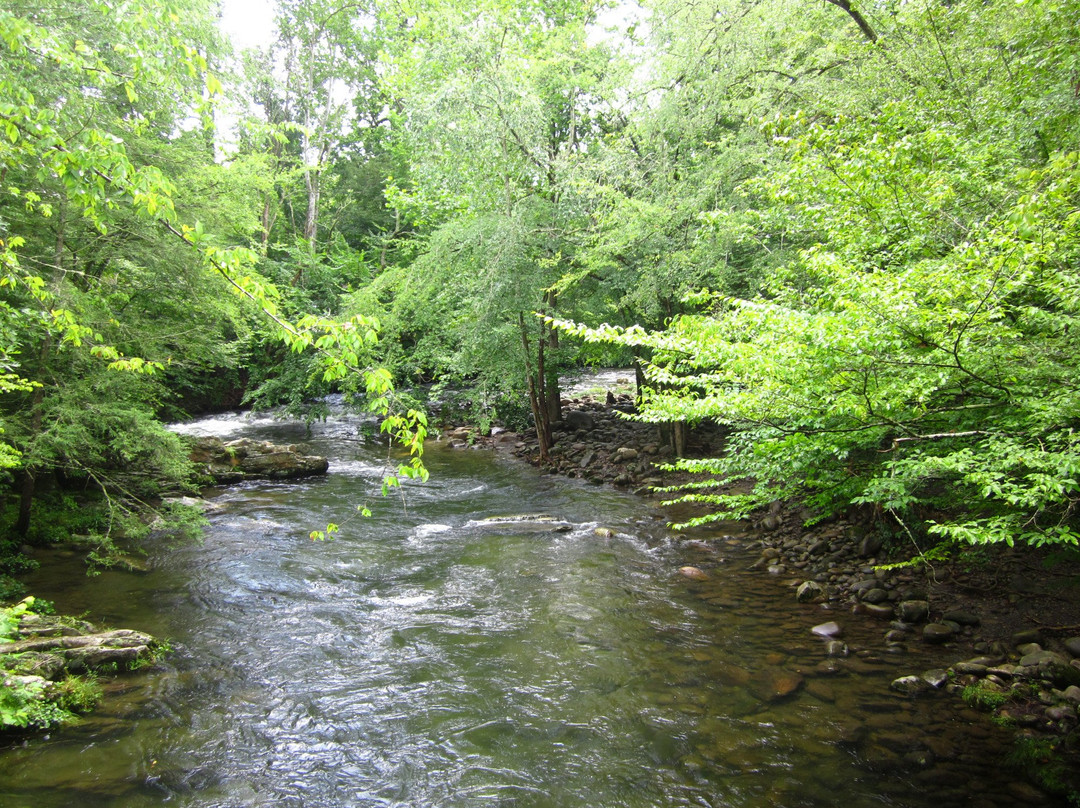 null-塞维尔维尔