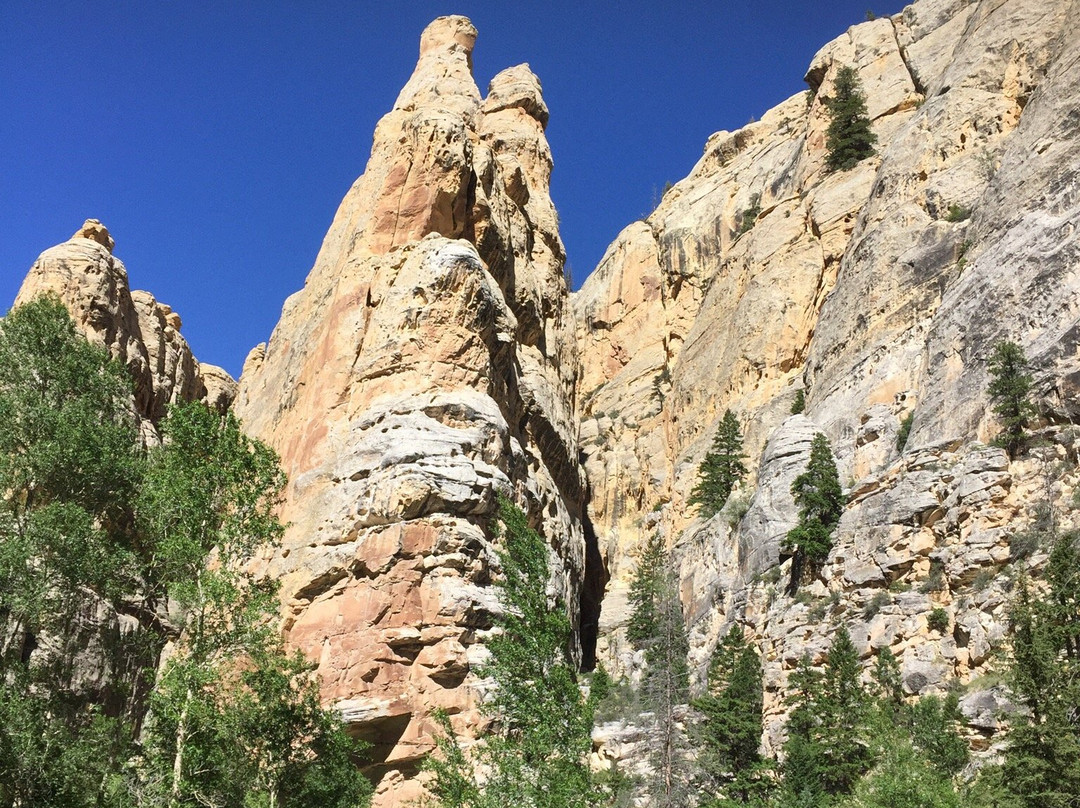 Rock Springs旅游攻略图片