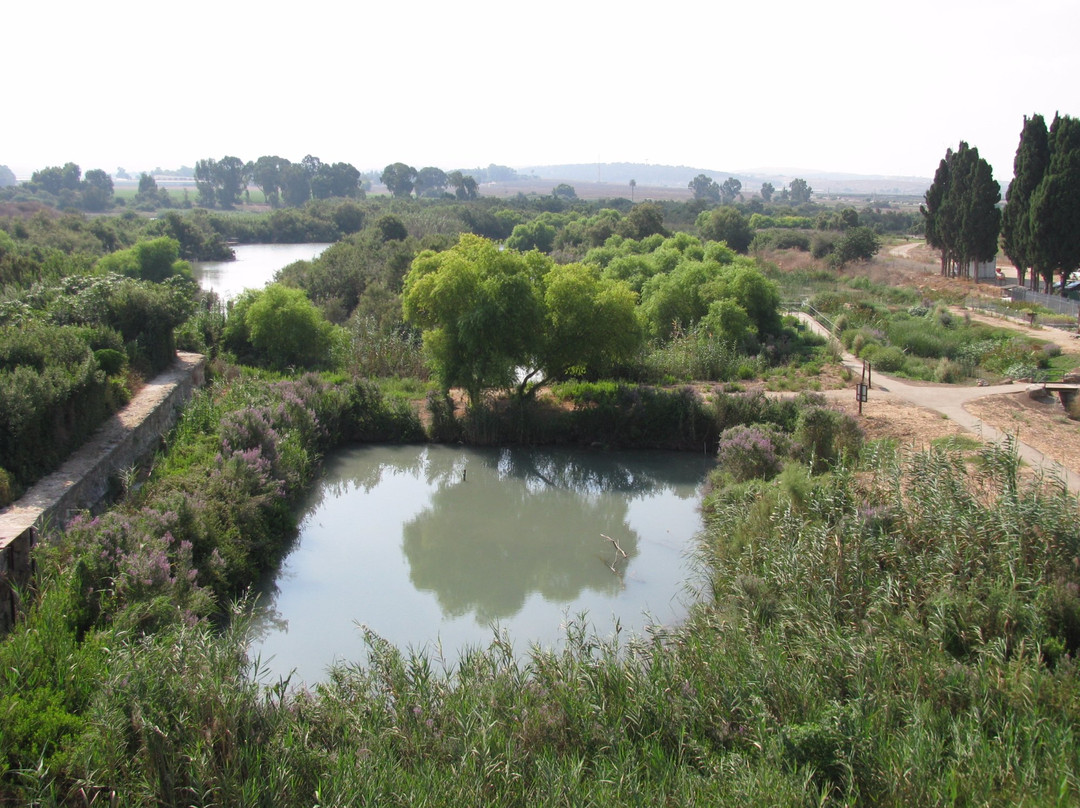 Qiryat Bialik旅游攻略图片