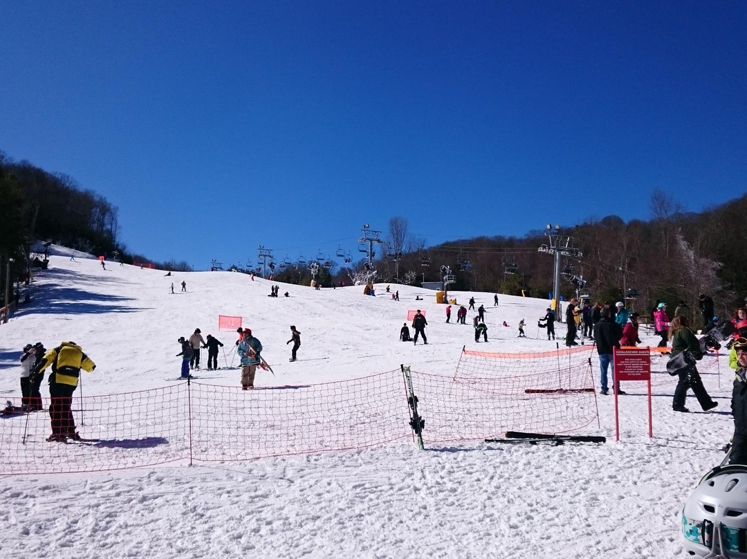 Cataloochee Ski Area景点图片