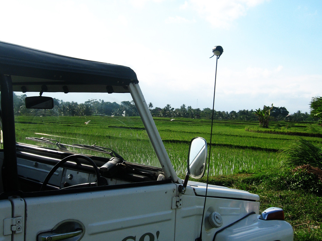 easyGO Classic Jeep Adventure Day Tour-登巴萨必去景点