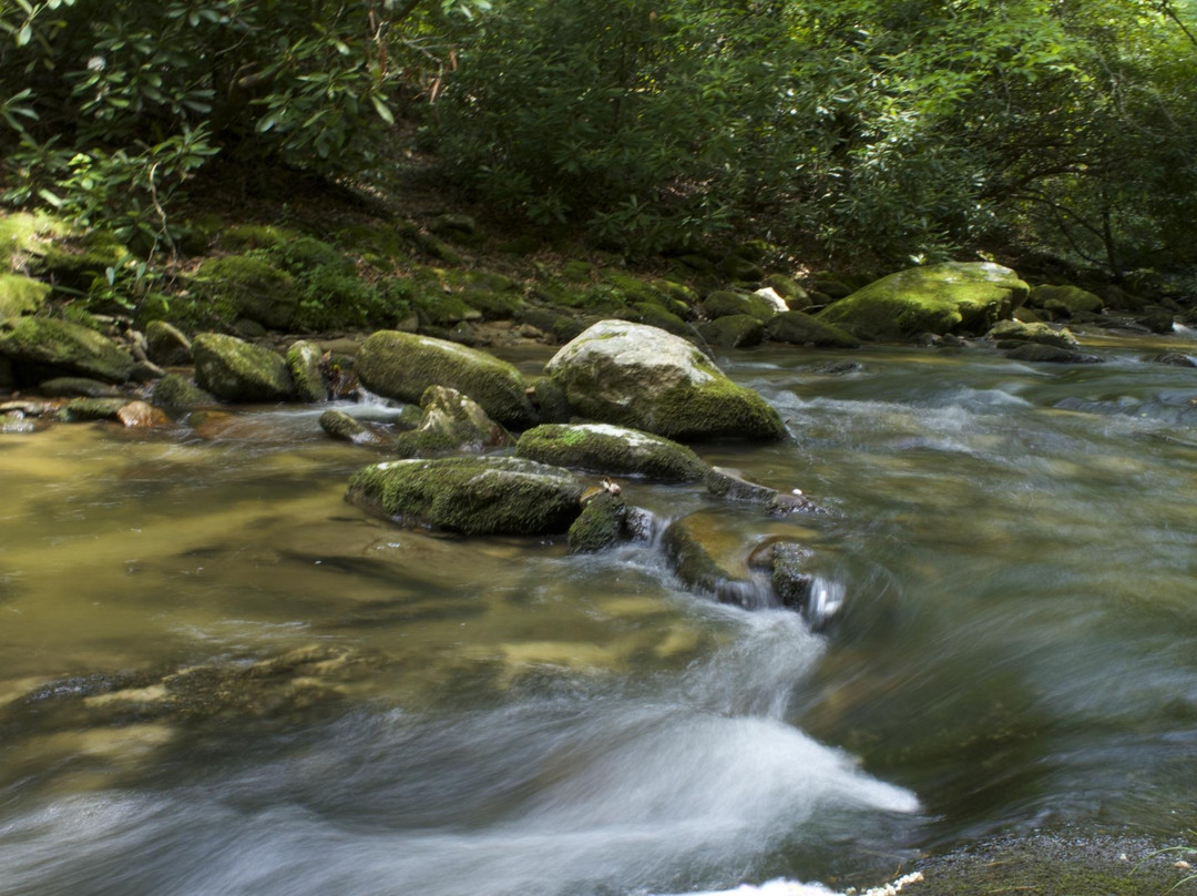 Wilson Creek景点图片