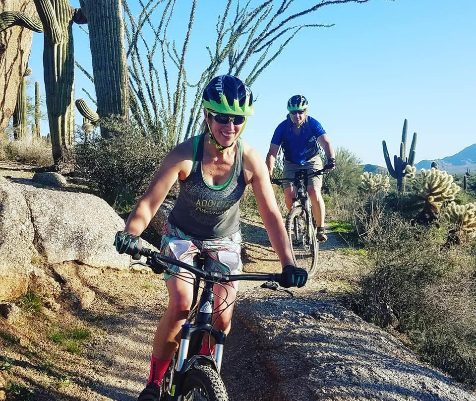Wild Bunch Desert Guides Llc