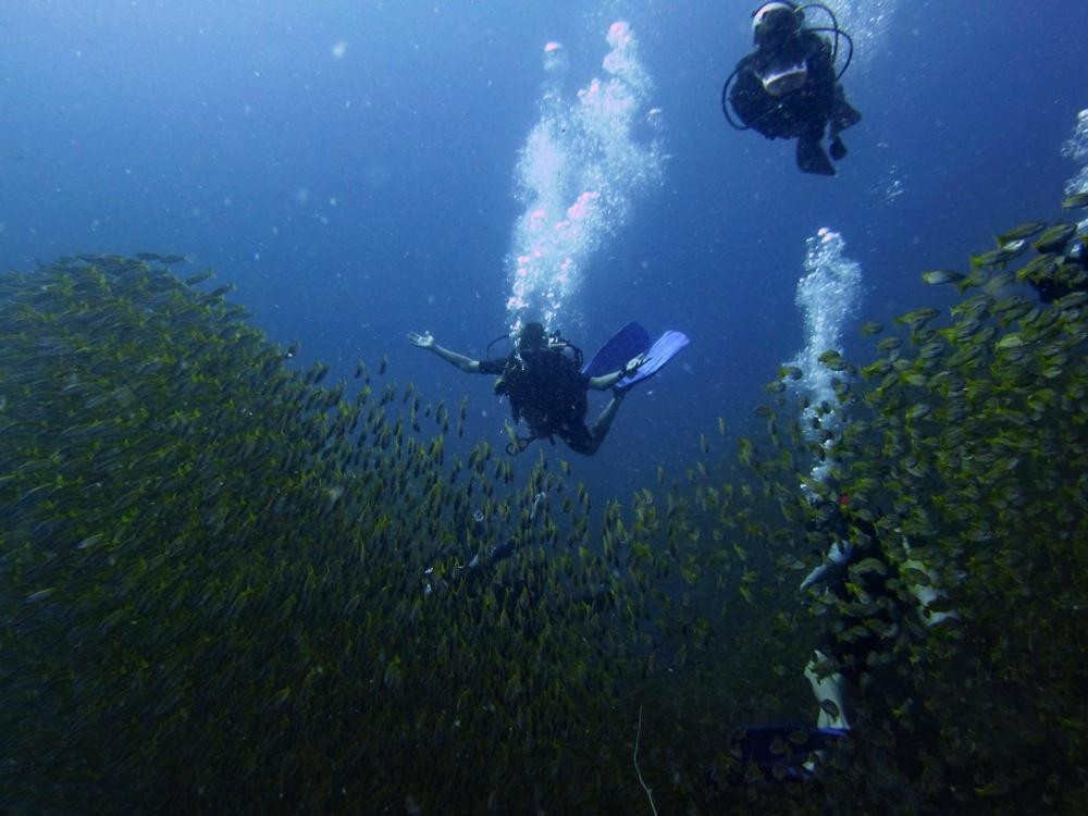 French Kiss Divers-涛岛必去景点