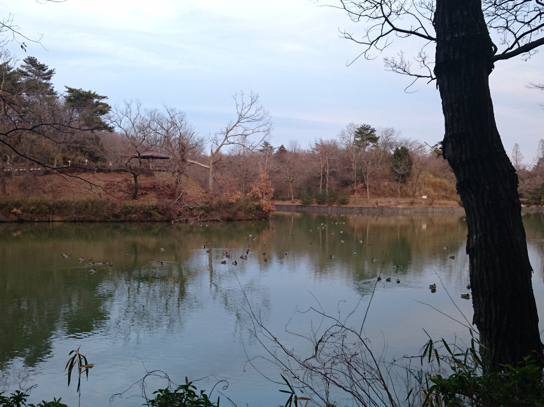 Hatchoko Park-吉见町必去景点