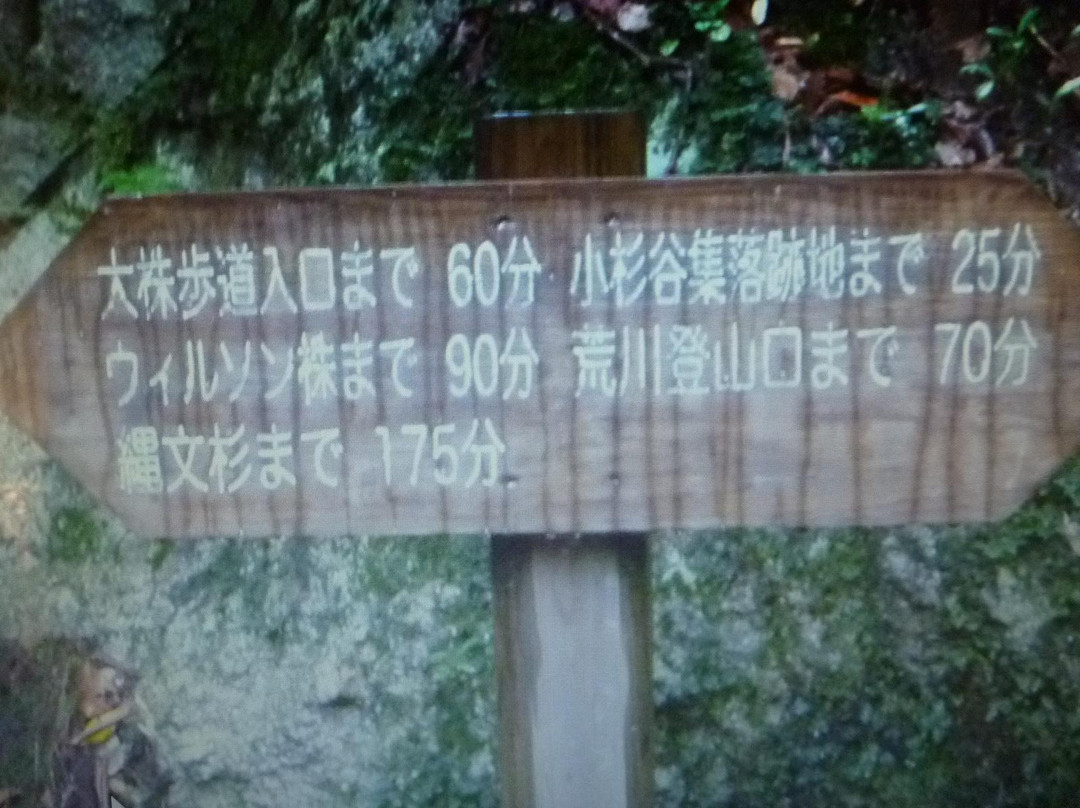 Yakushima Eco Tour-屋久岛町必去景点