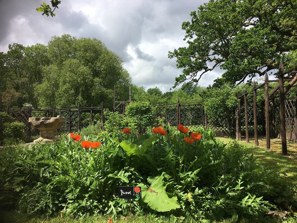 Les Jardins du Château de Kerambar'h景点图片