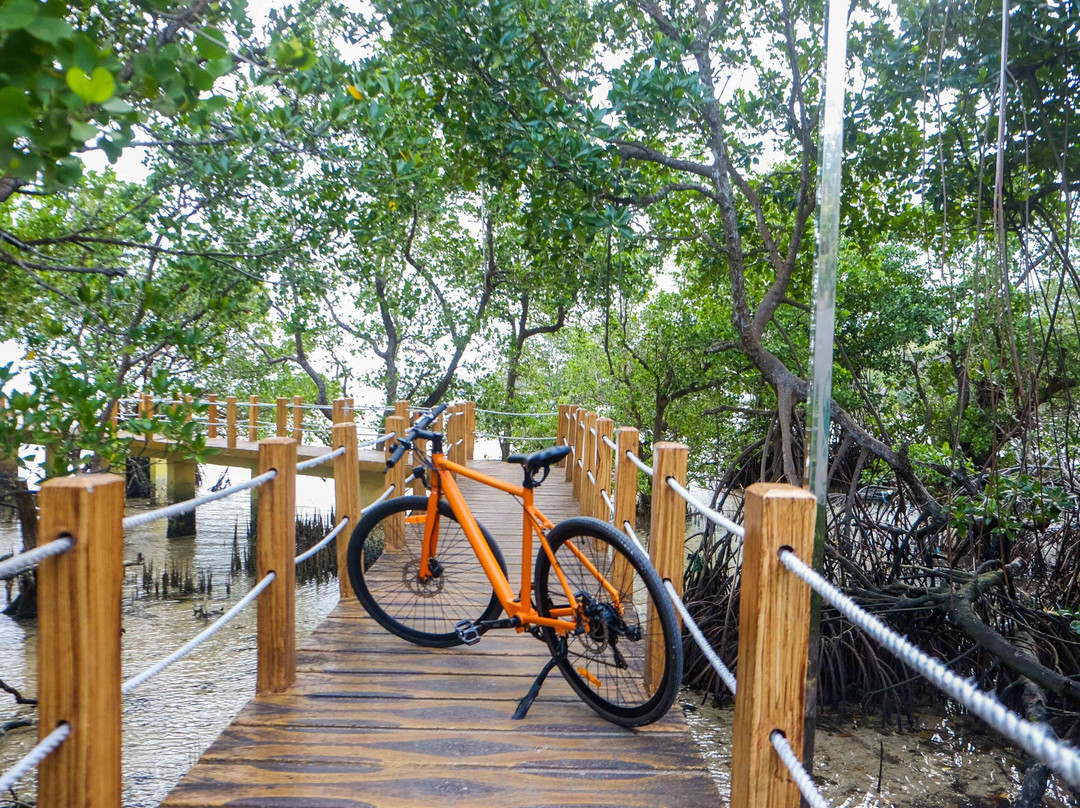 Boracay Self-Guided Bike Adventures by Asian Adventures