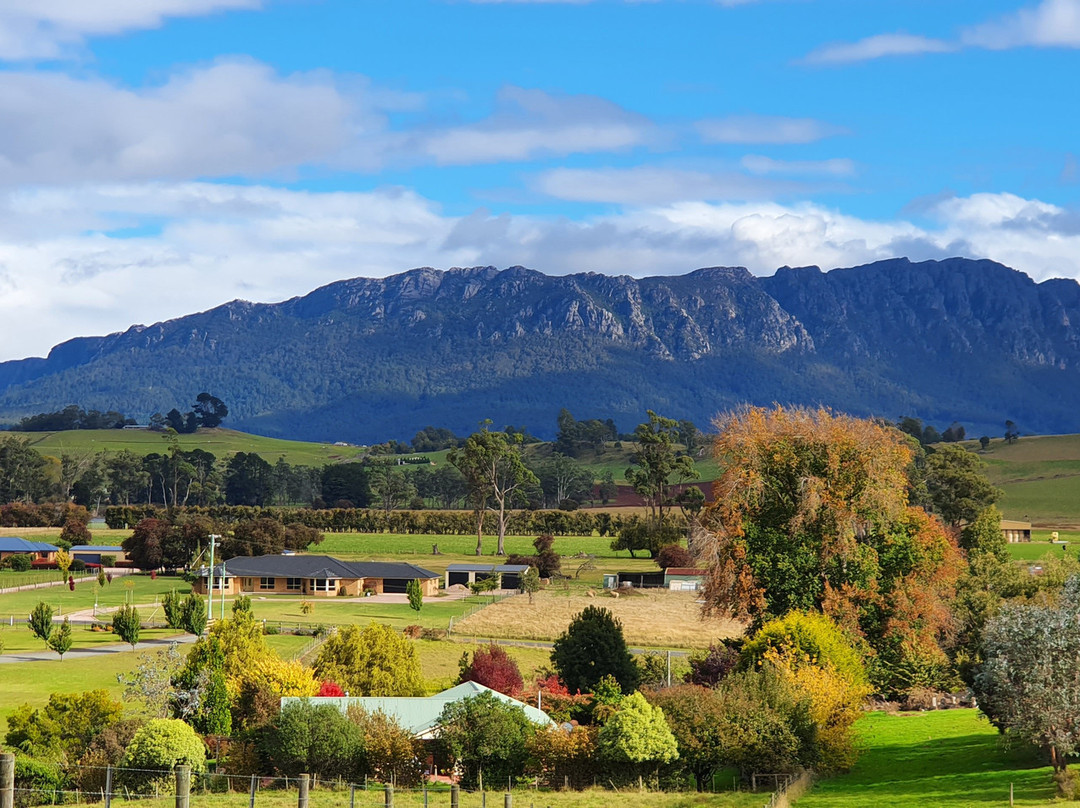 Lookout - View Of Mount Roland