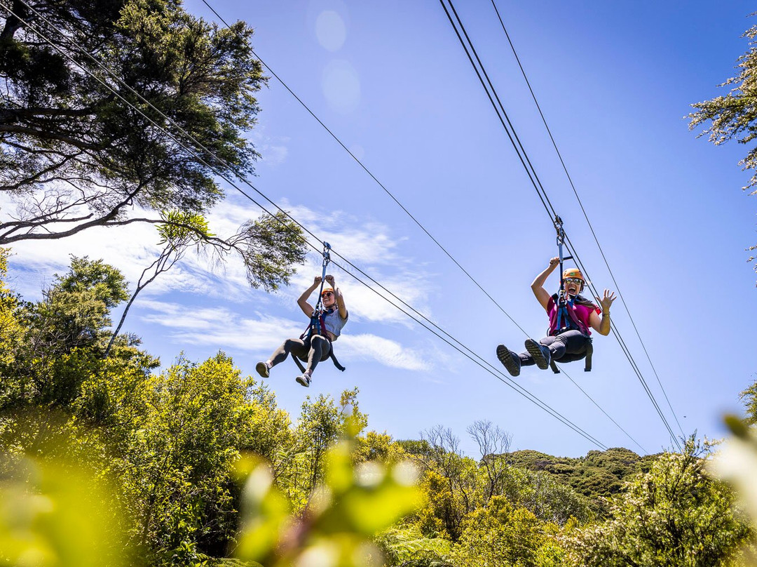 Ecozip Adventures Waiheke Island-欧尼罗亚必去景点