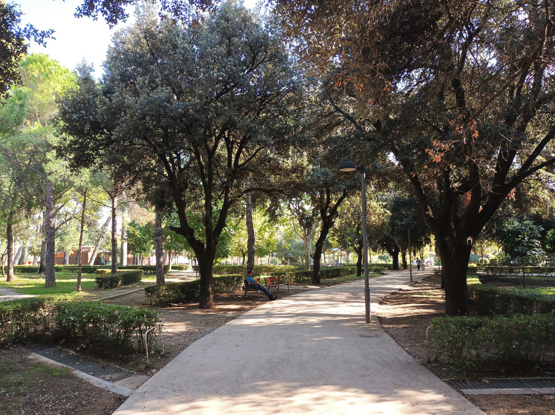 Parc Bosc De Figueres景点图片