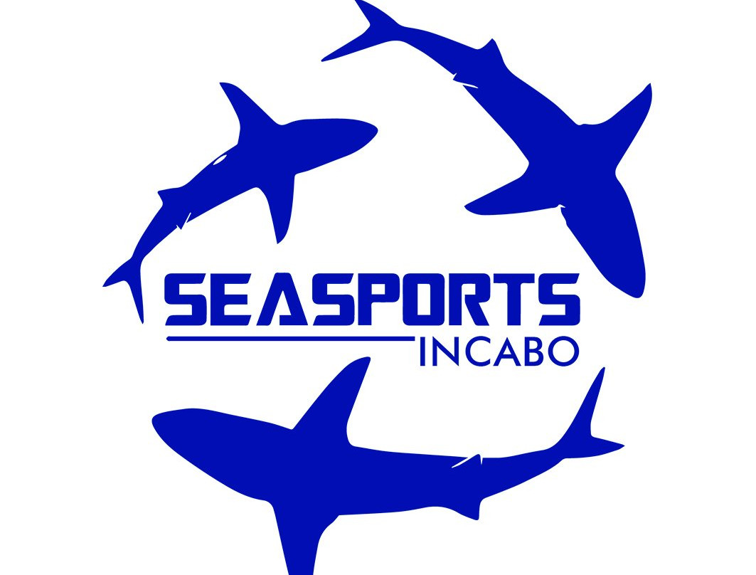 Sea Sports in Cabo-卡波圣卢卡斯必去景点