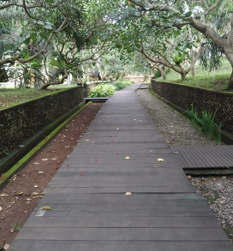 Sahid Osing Kemiren Banyuwangi主图