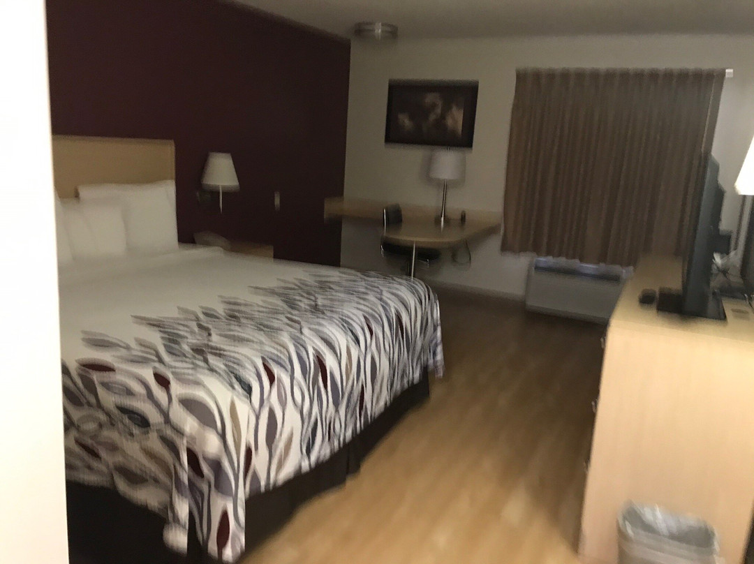 Red Roof Inn London I-75主图