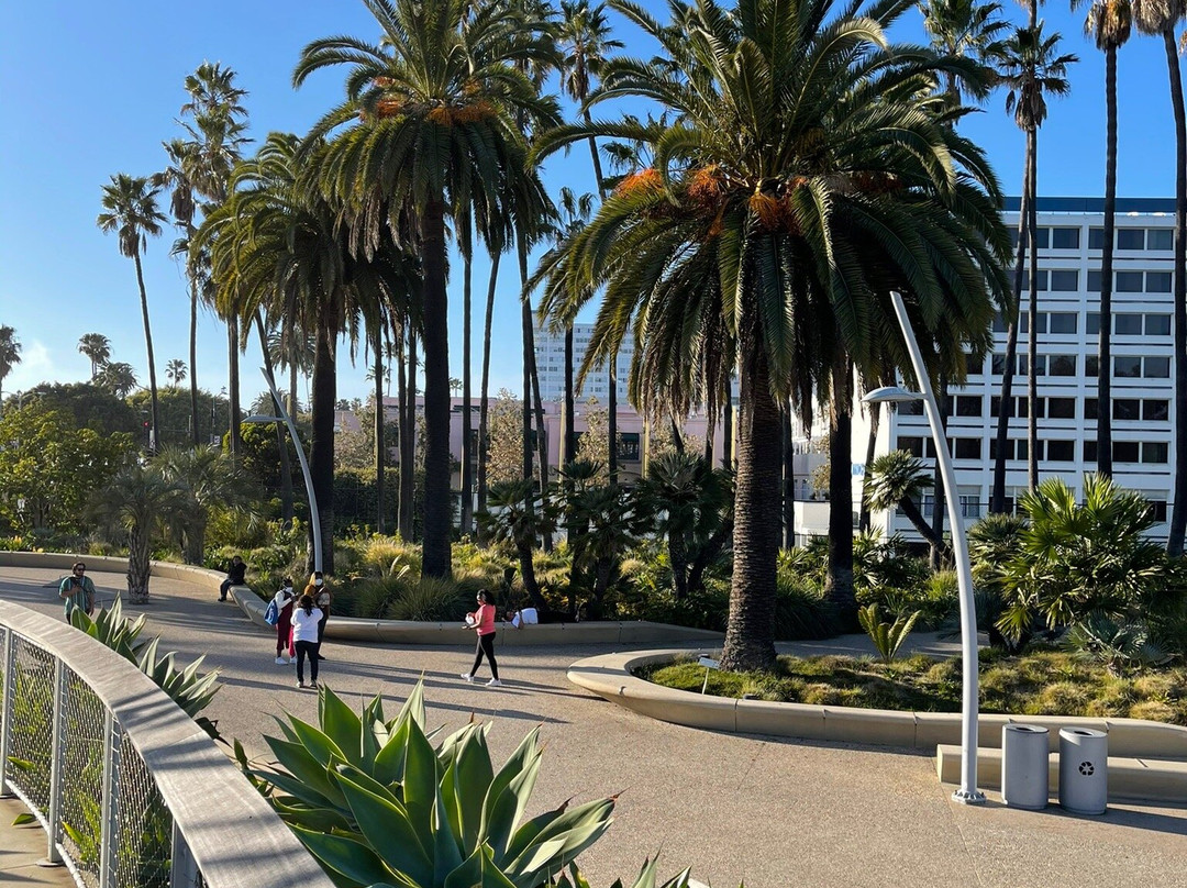 Tongva Park-圣莫尼卡必去景点