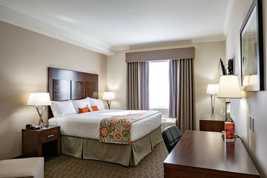 Coast Oliver Hotel主图