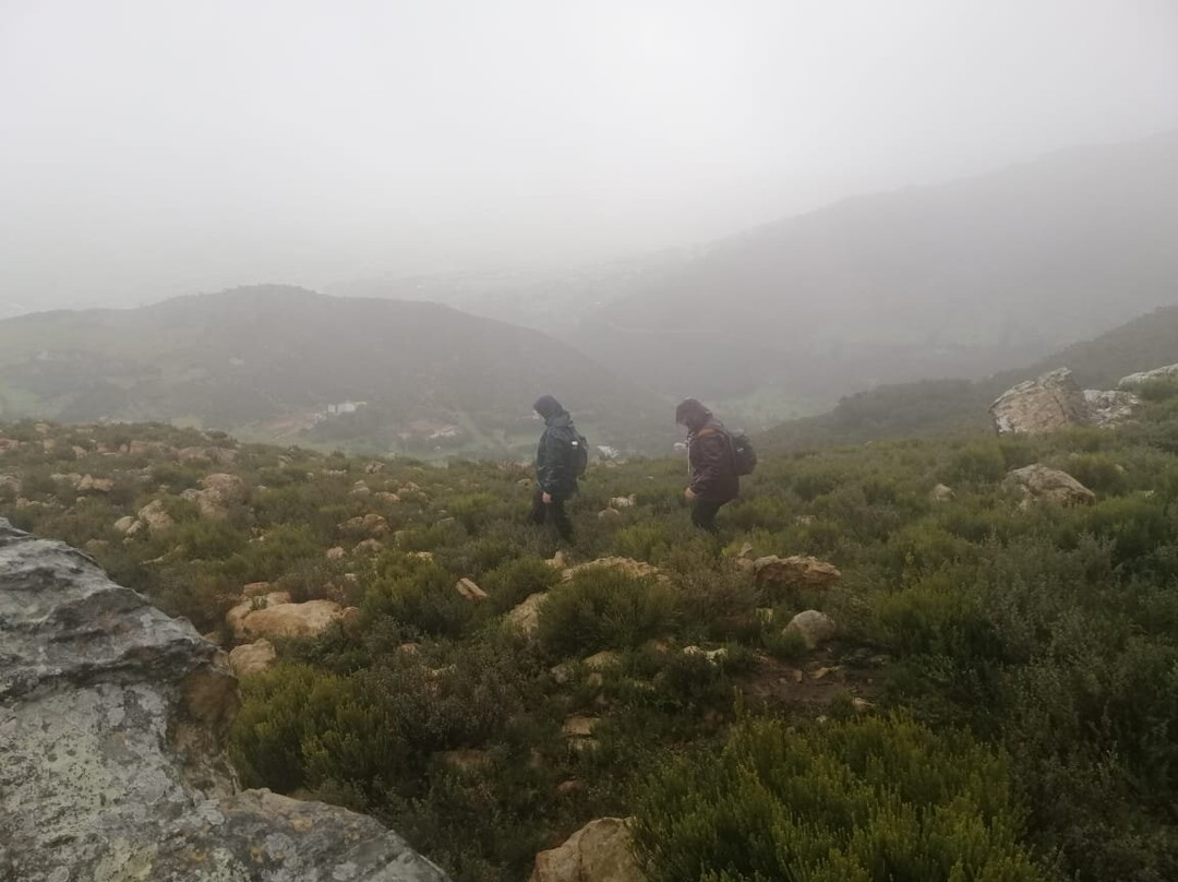 MELLOU TOUR Cooperative-丹吉尔必去景点