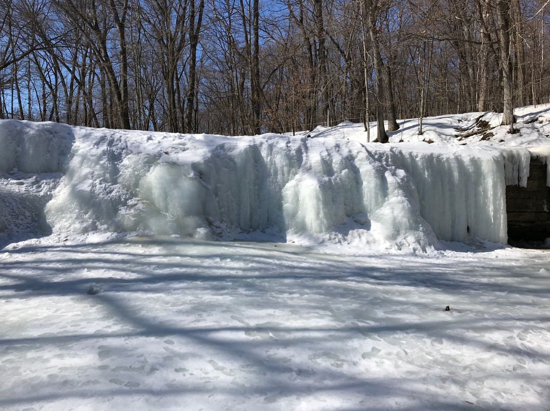 Nerstrand Big Woods State Park-Nerstrand必去景点