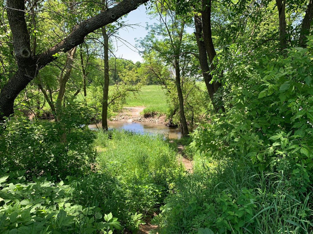 Plum Creek景点图片