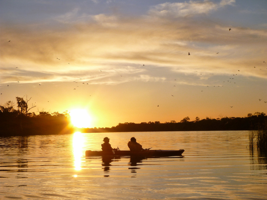 Canoe Adventures - Riverland-Berri必去景点