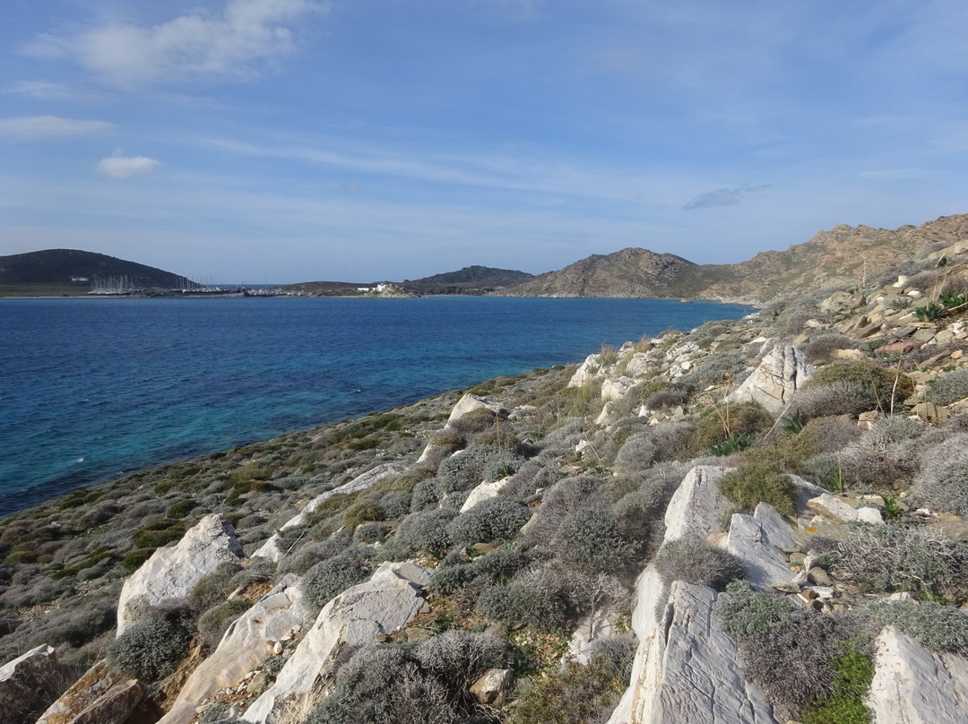 Paros Park景点图片