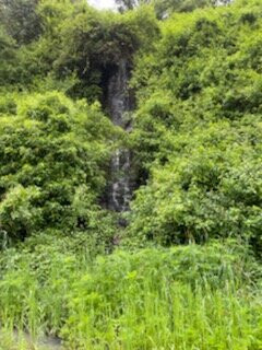 Black Sheep Farm主图