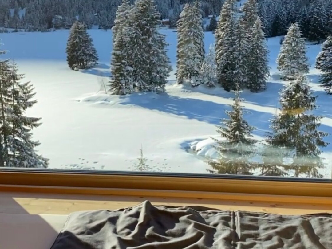Revier Mountain Lodge Lenzerheide主图
