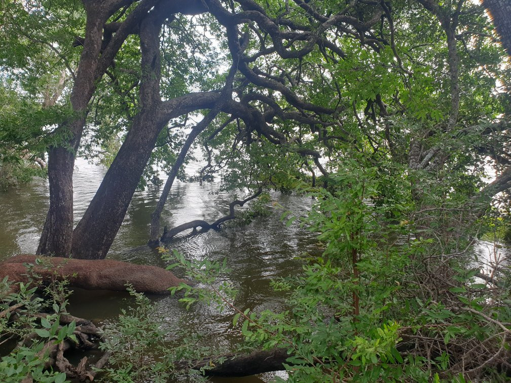 Kafue National Park-Kafue National Park必去景点