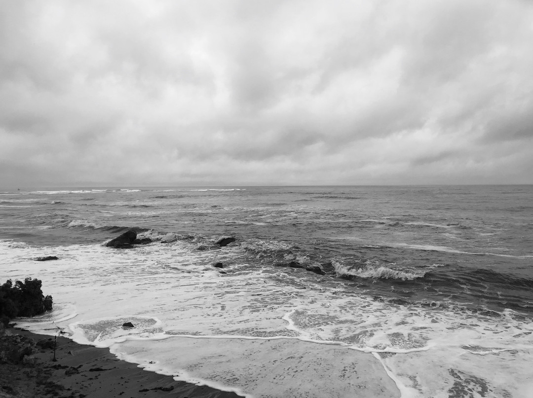 Penguin Foreshore-企鹅岛必去景点