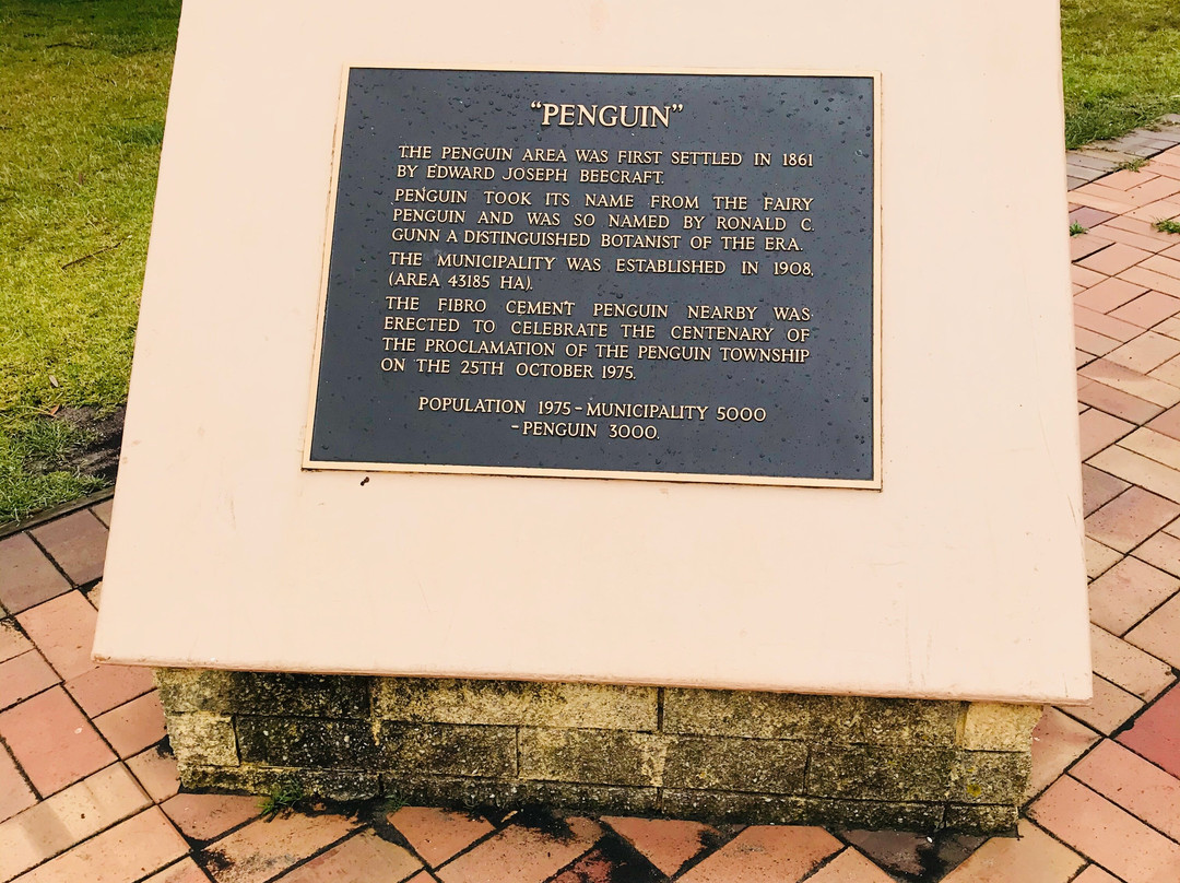 Big Penguin-企鹅岛必去景点