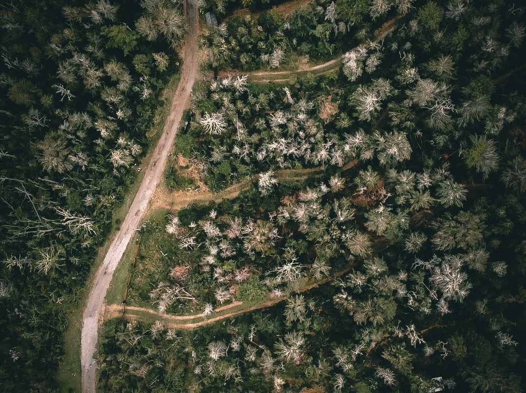 Lago Maihue-Futrono必去景点