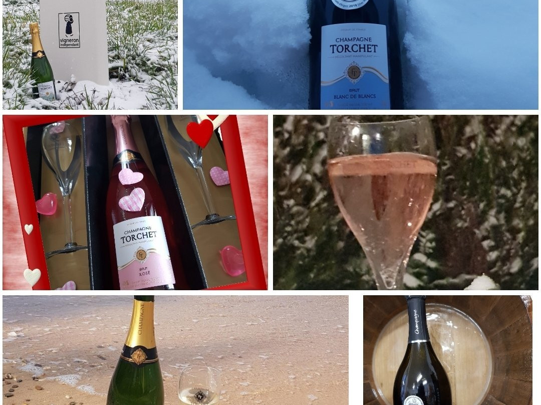 Champagne  TORCHET景点图片