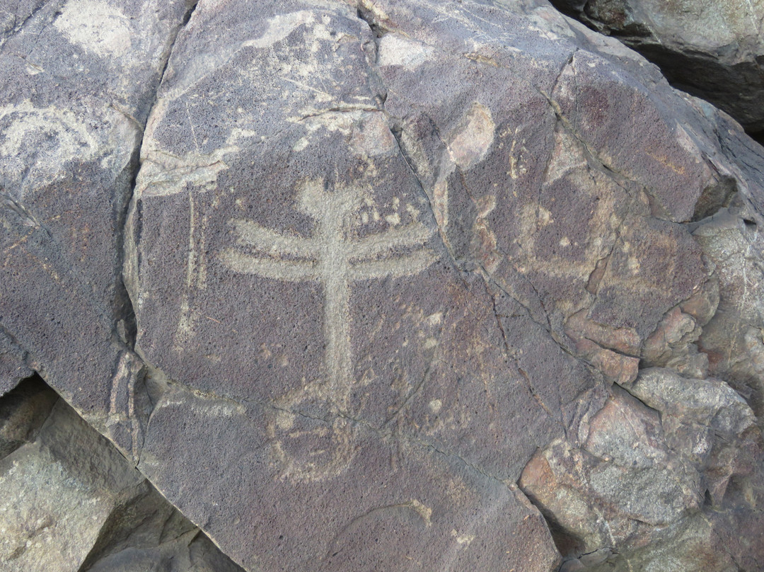 The Dragonfly Trail-Silver City必去景点