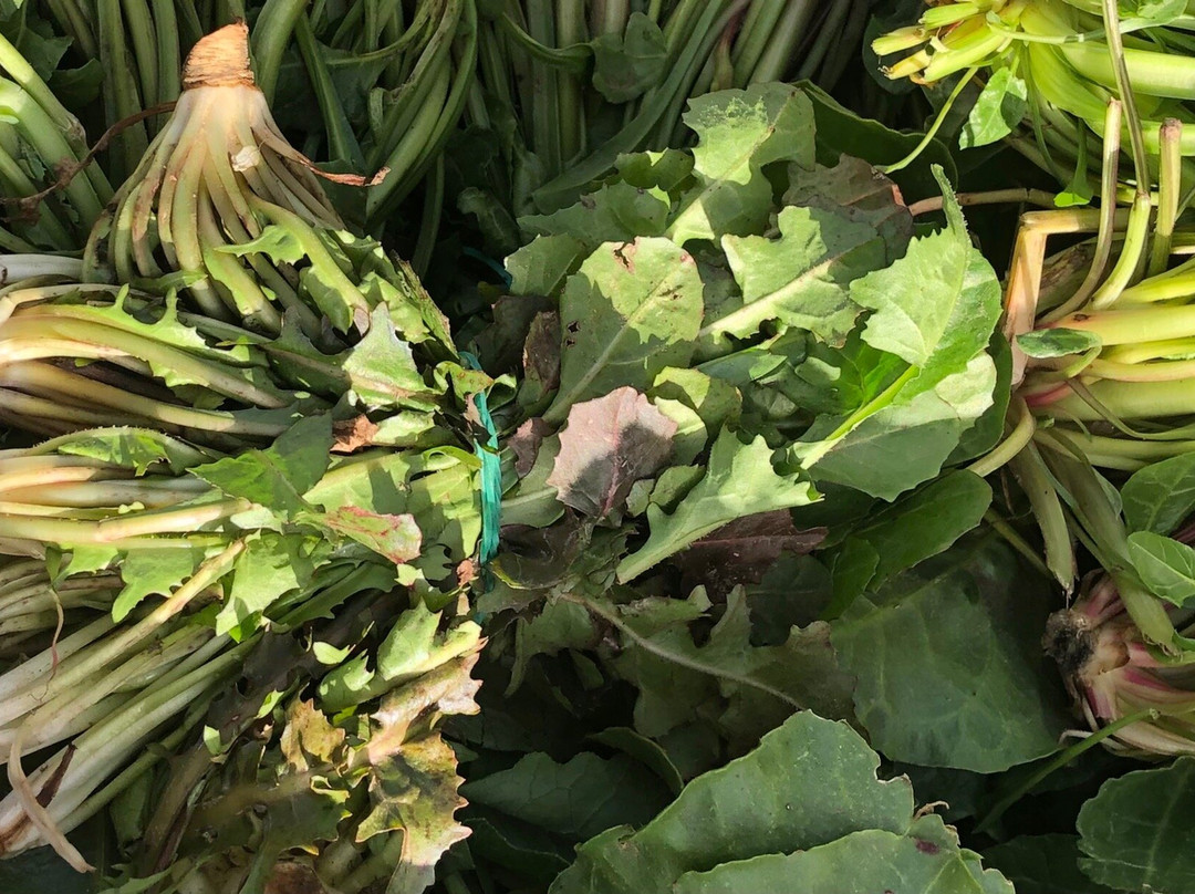 Feudo Disisa-Grisi必去景点