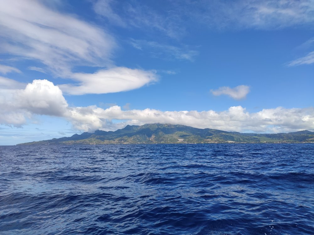 Amphitrite Balade en Mer : Dauphins et Pêche-Case-Pilote必去景点