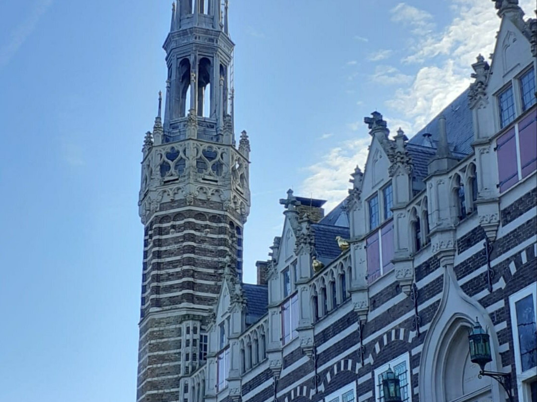 Alkmaar City Hall景点图片