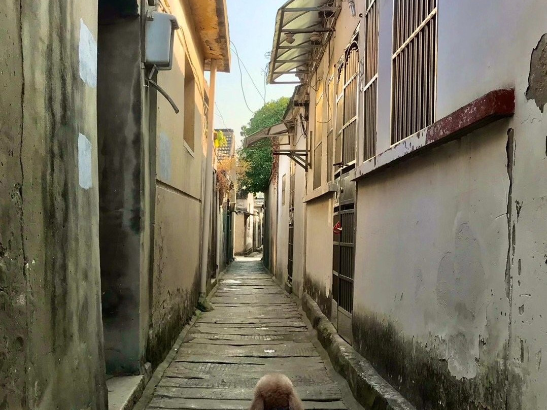 邵伯古镇景点图片