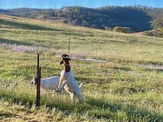 Hillview Farmstay主图