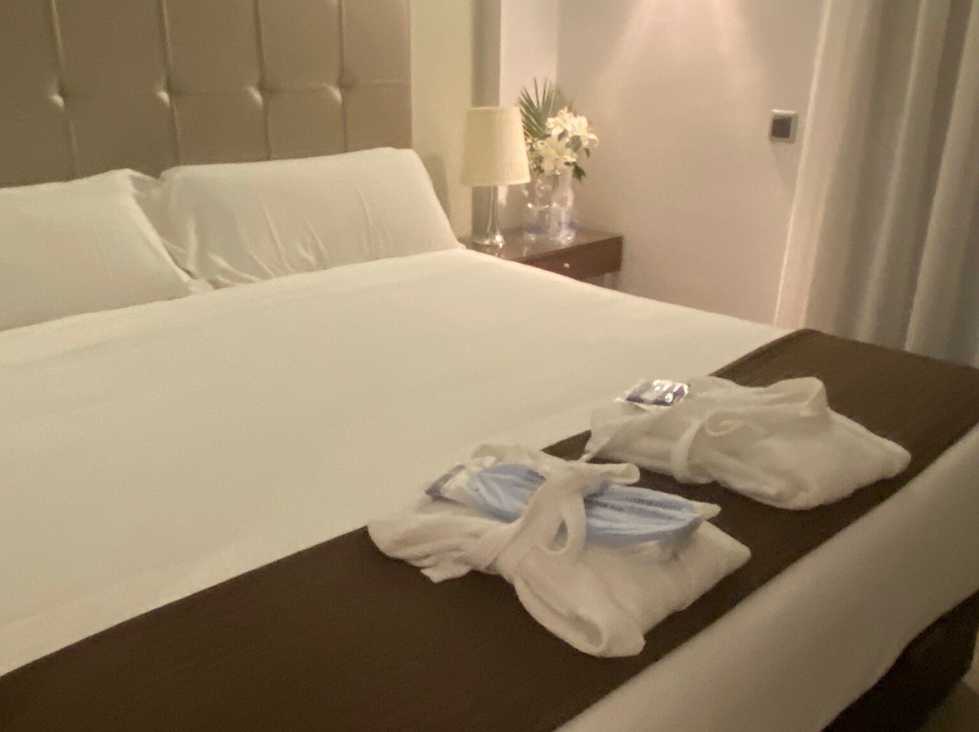 尼瓦 SPA 酒店主图