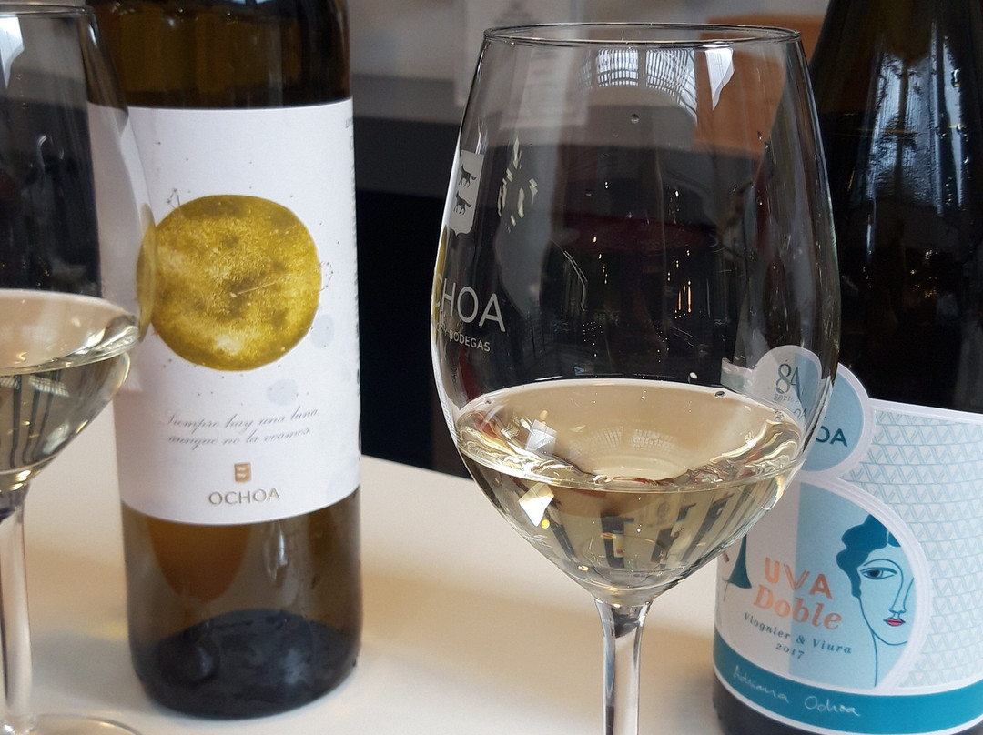 Bodegas Ochoa-Olite必去景点