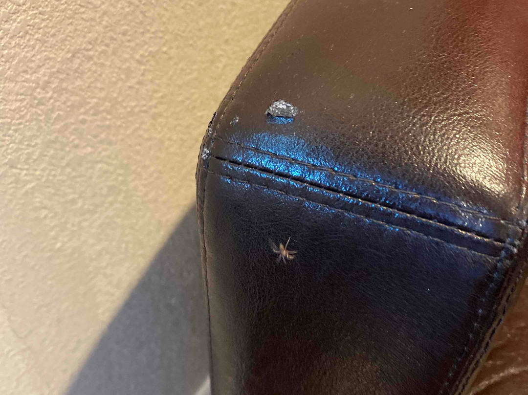 Ramada by Wyndham Torrance主图