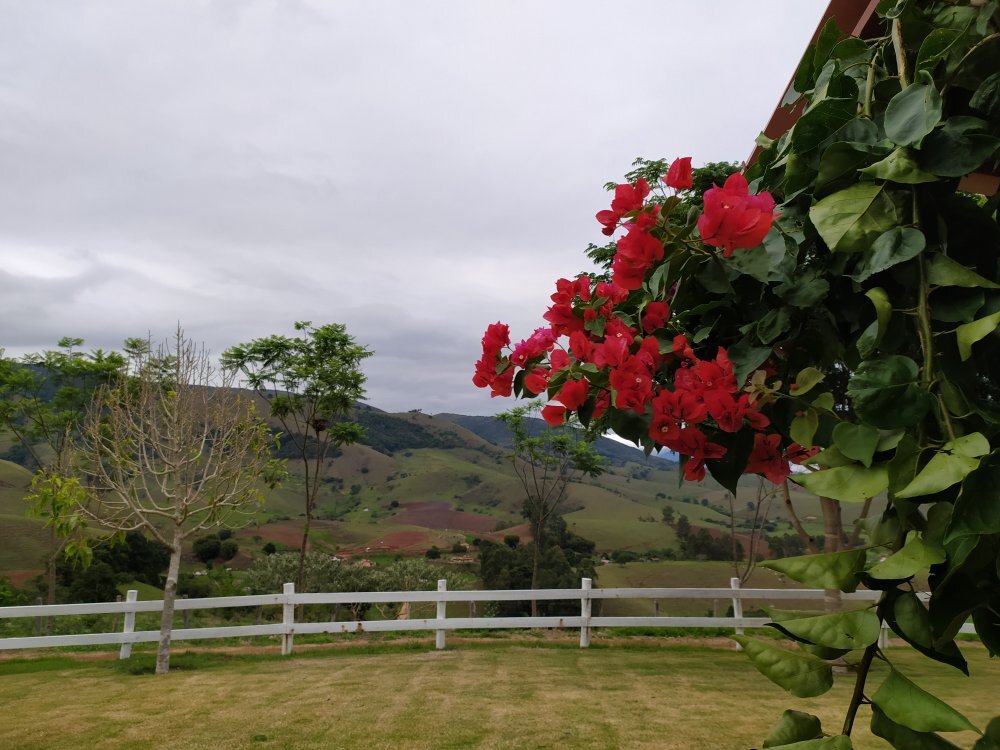Quinta Do Papagaio-官方