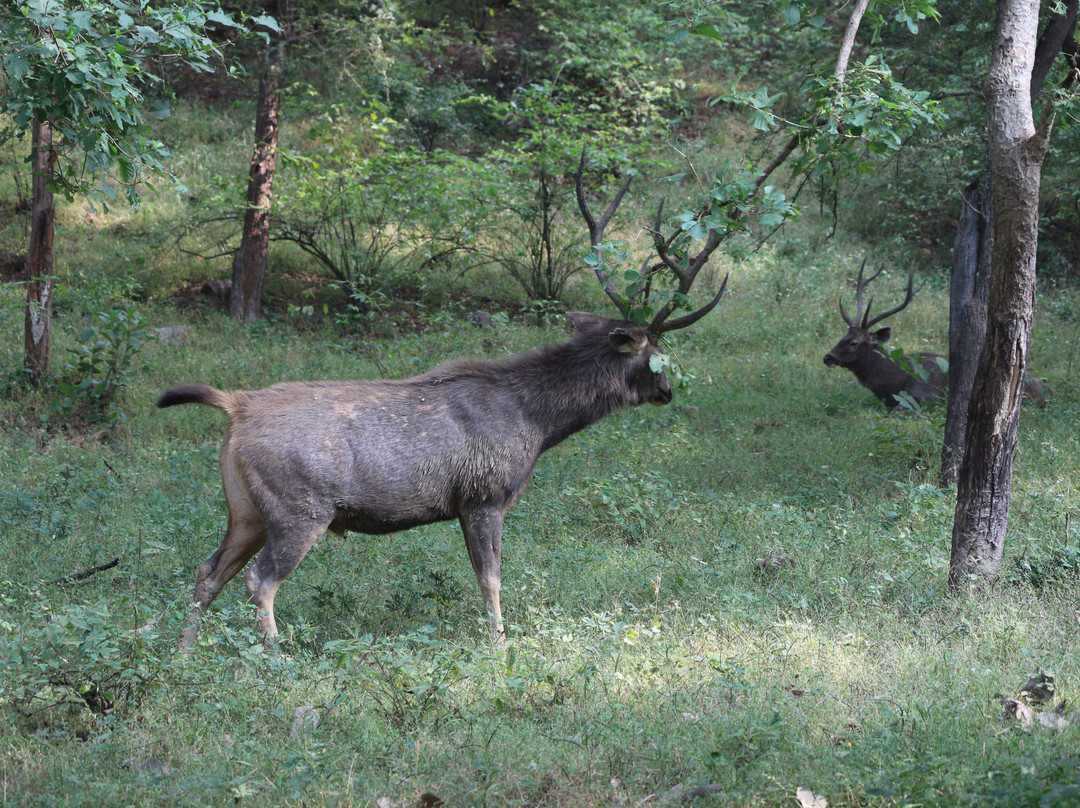 Hotel Castle Jhoomar Baori主图