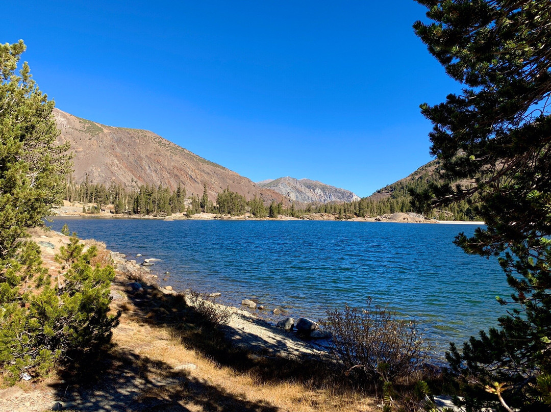 Tioga Lake-利韦宁必去景点