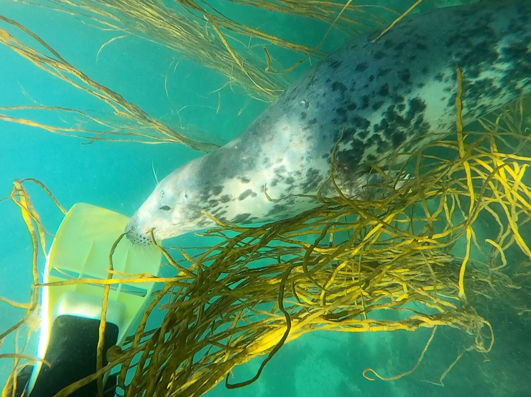 Penhallow Guest House主图