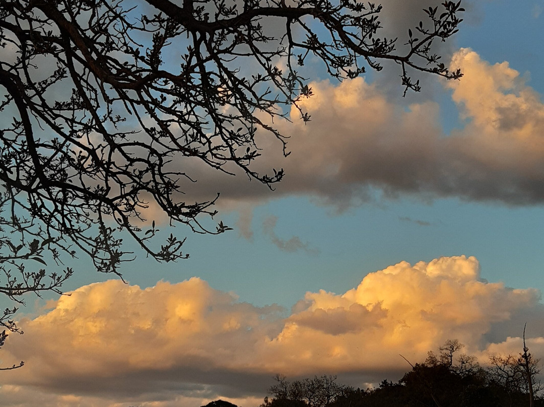 Espacio Tao Sierras De Aigua-Aigua必去景点