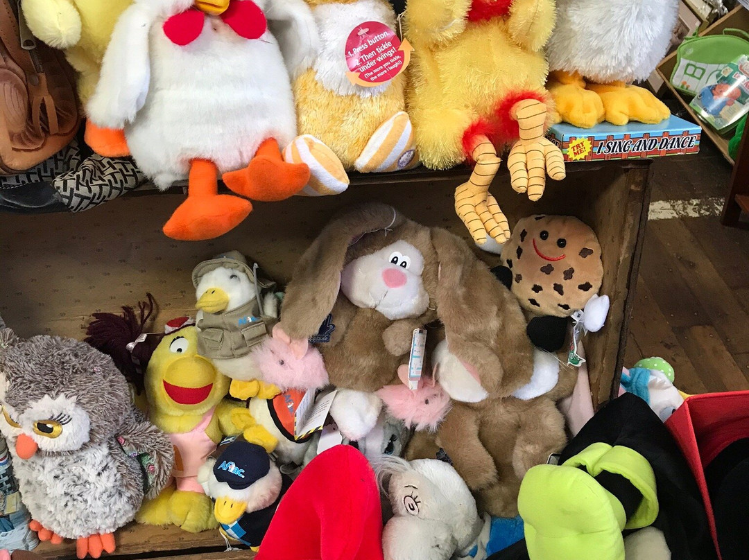 New Brunswick Flea Market-托灵顿必去景点