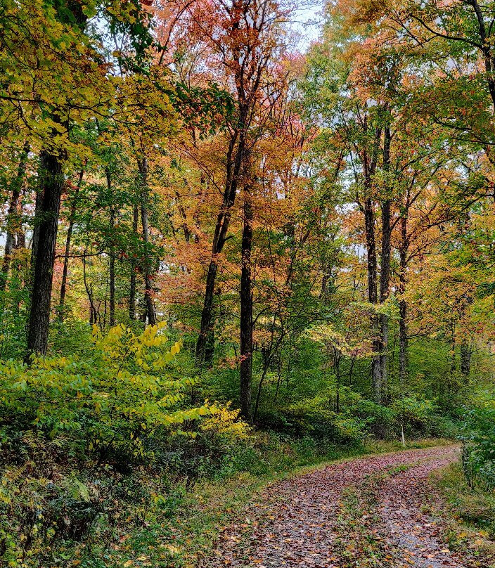 Raccoon Creek State Park-Hookstown必去景点