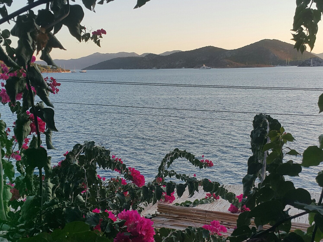 Bozburun Pembe Yunus Hotel主图